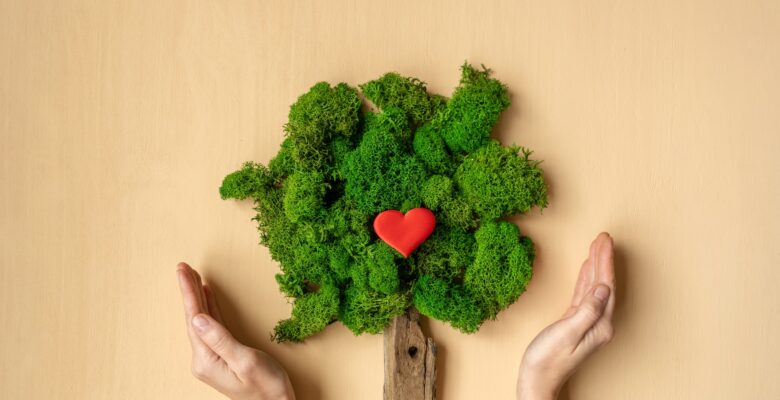 ecologie en entreprise